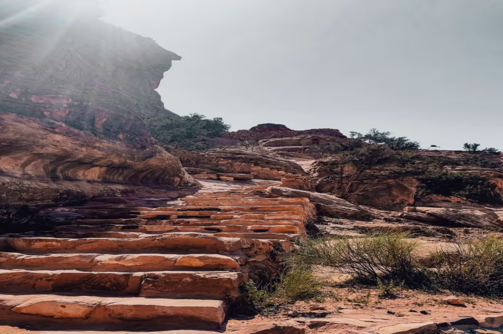 Petra Private Tour - 