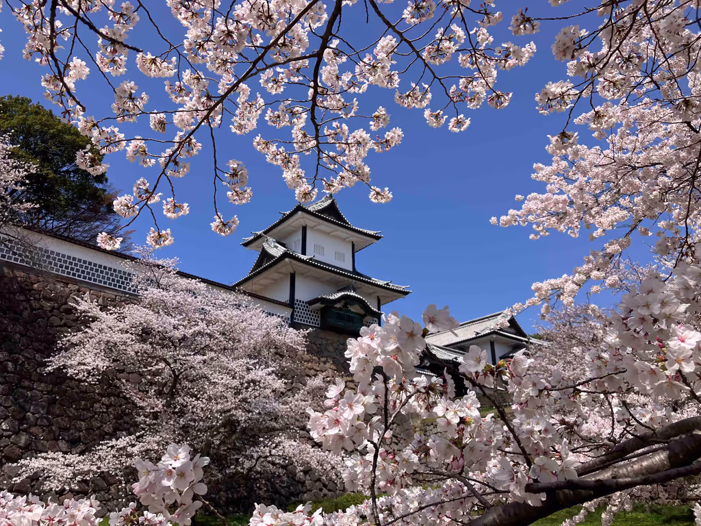 Kanazawa Private Tour - Kanazawa Castle