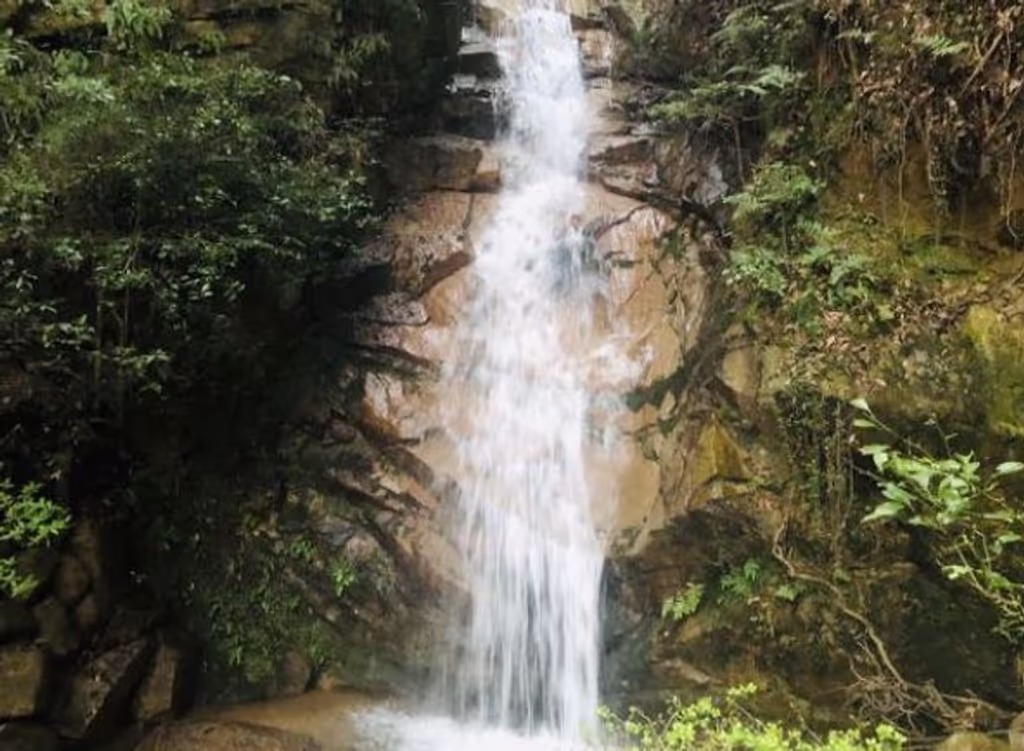 Kobe Private Tour - Koza Fall