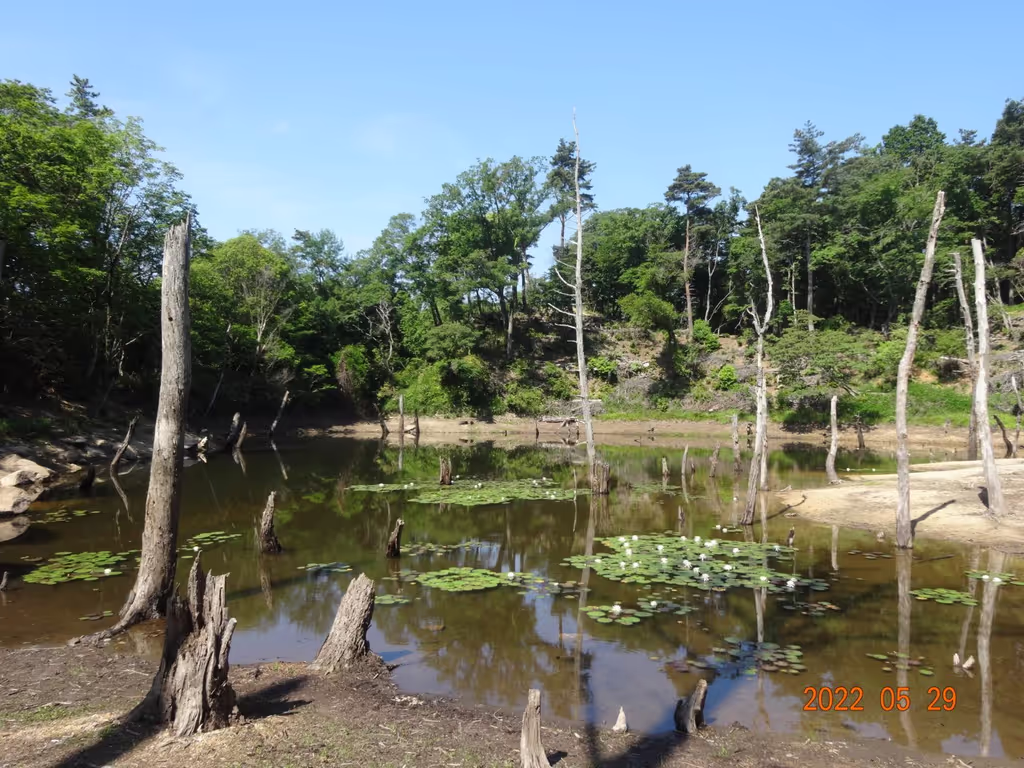 Kobe Private Tour - Yokoike pond