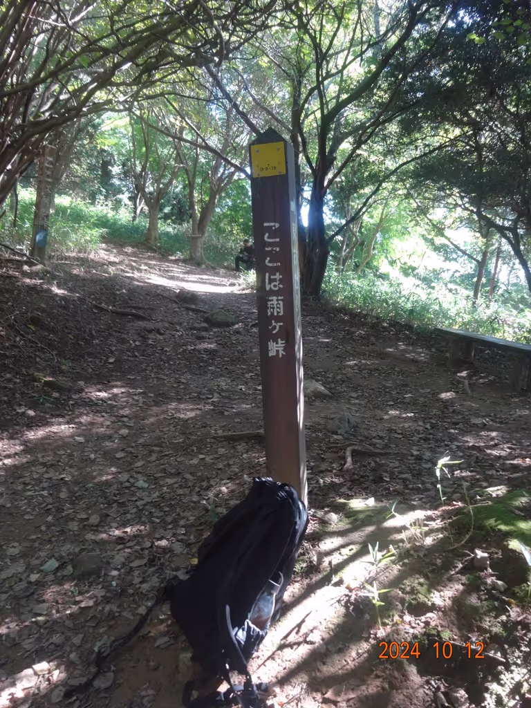 Kobe Private Tour - Amaga pass