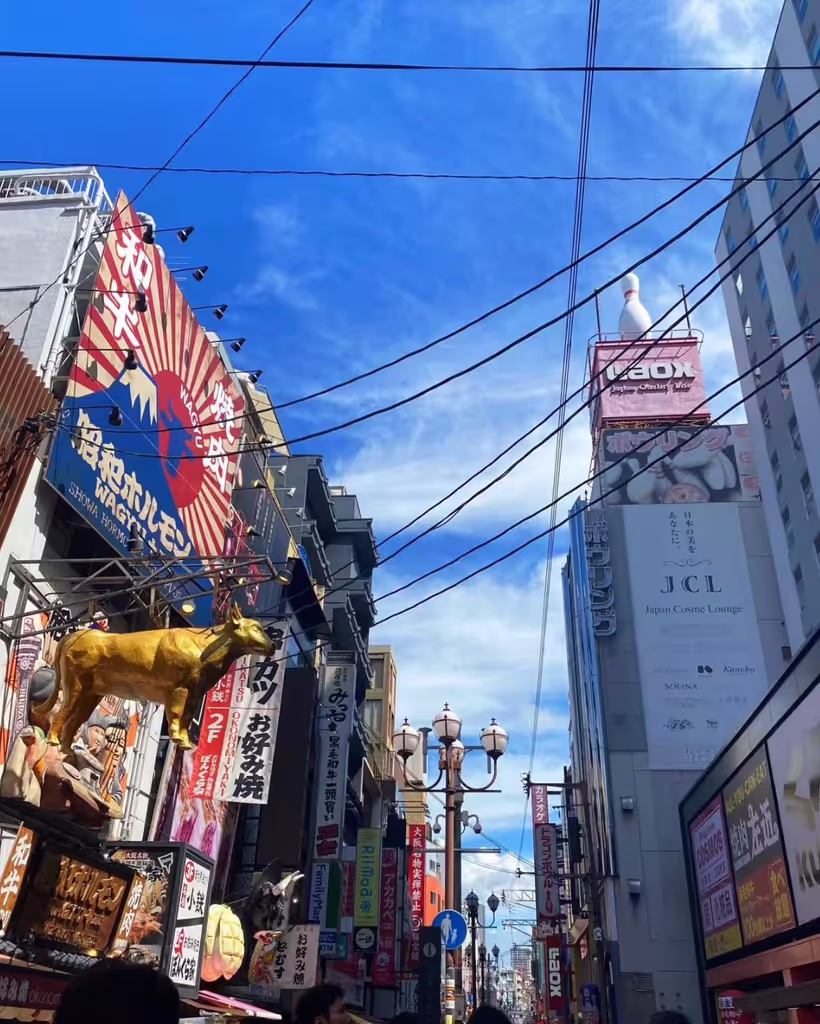 Osaka Private Tour - 