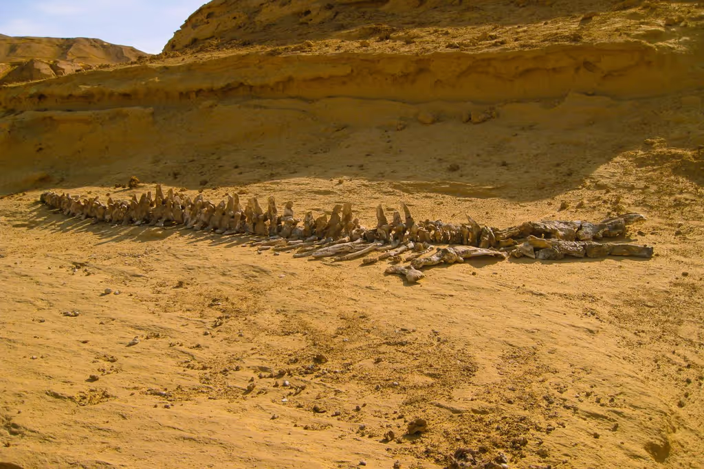 Cairo Private Tour - 