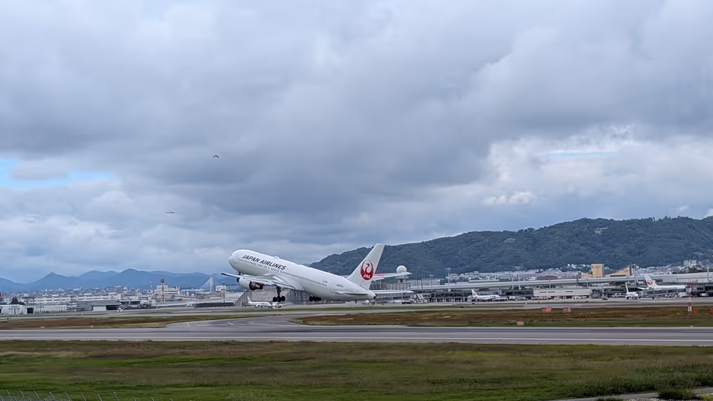 Osaka Private Tour - 