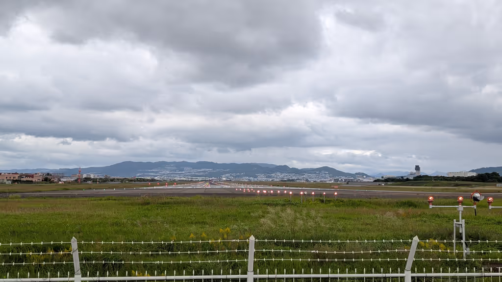 Osaka Private Tour - 