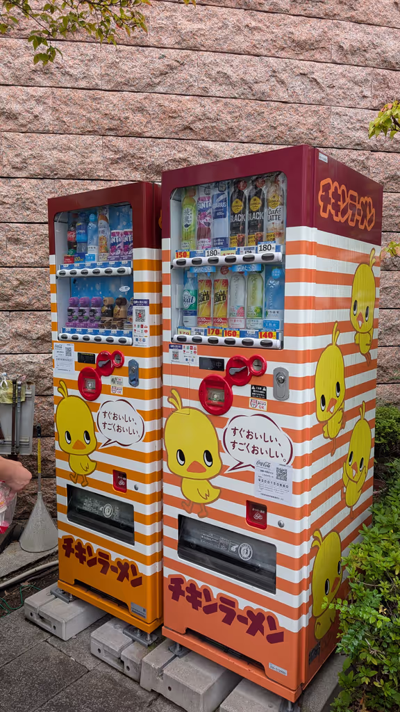 Osaka Private Tour - 