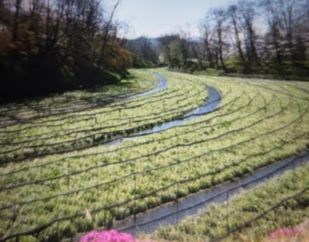 Nagano Private Tour - 