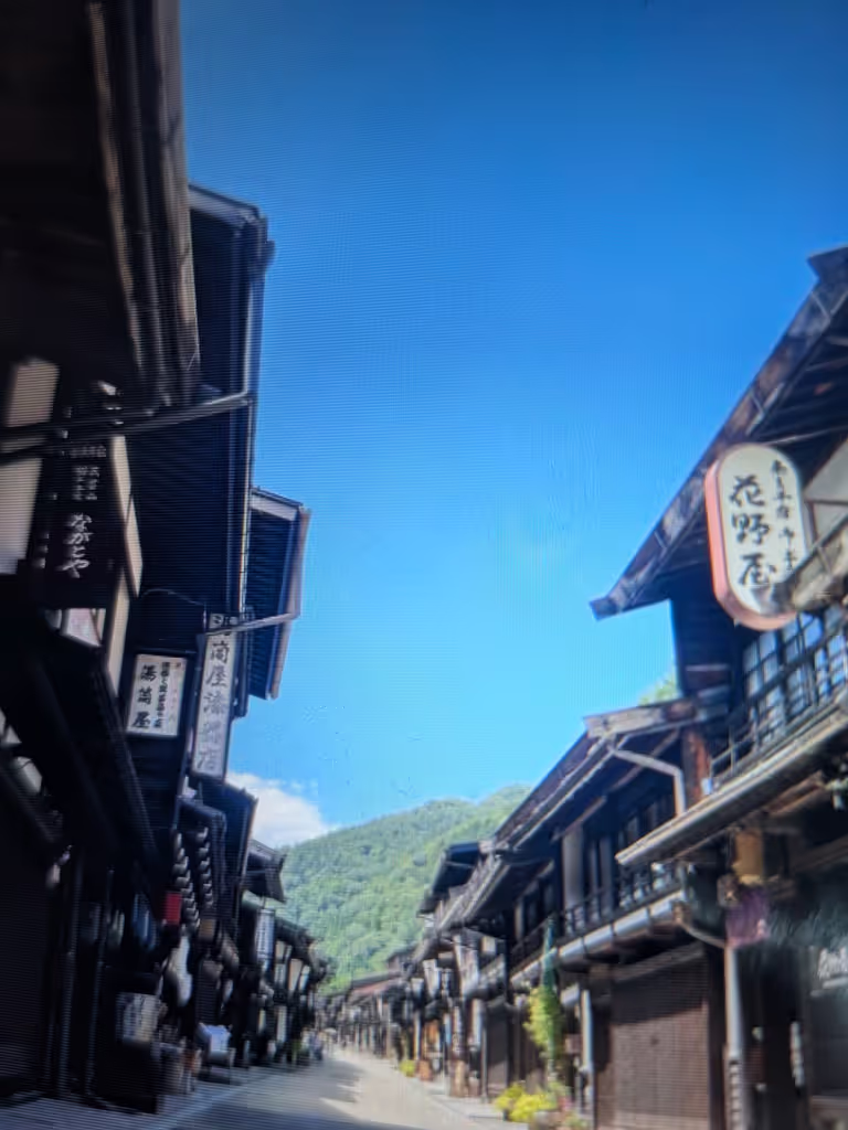 Nagano Private Tour - Narai-Juku