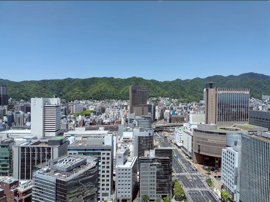 Osaka Private Tour - The view of Kobe city