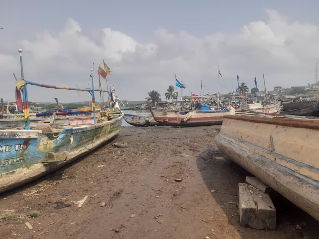Accra Private Tour - Fishing activities at Elmina
