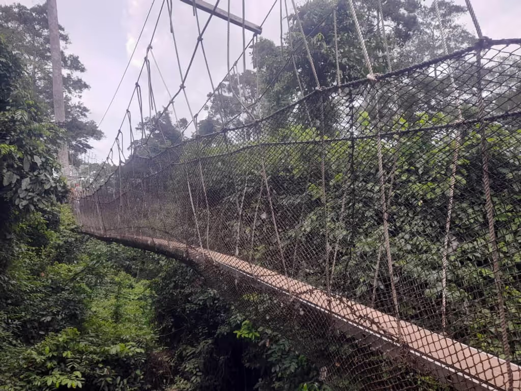 Accra Private Tour - Kakum canopy walk