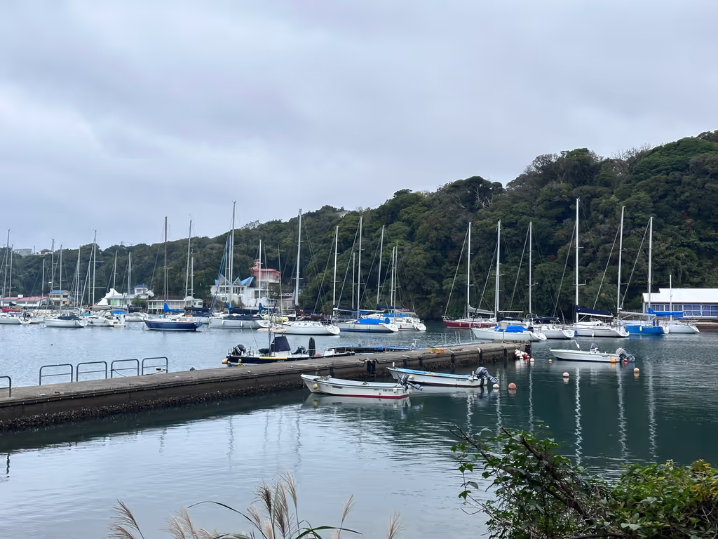 Kanagawa Private Tour - Local port