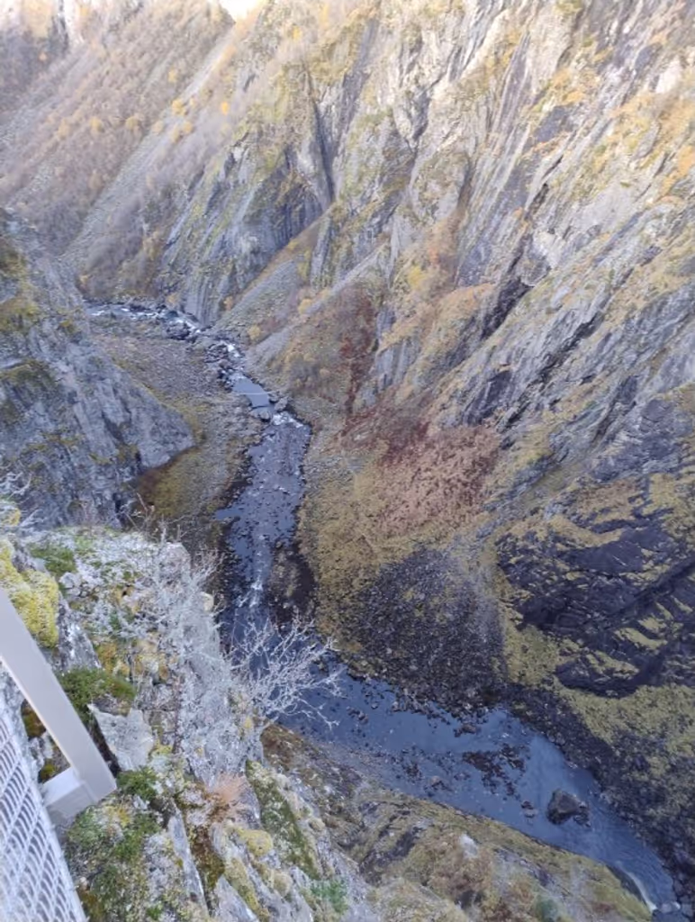 Bergen Private Tour - 