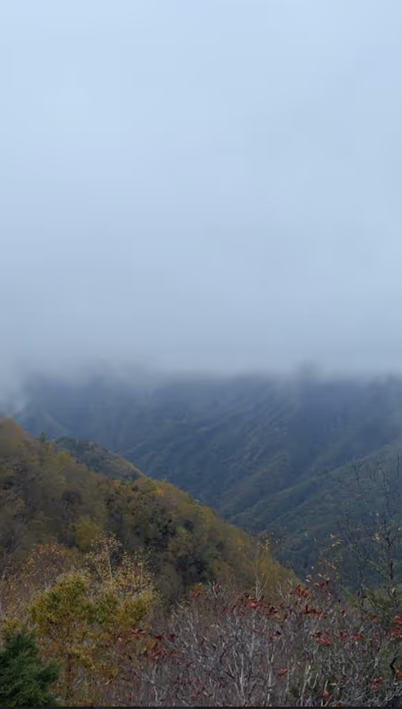 Tokyo Private Tour - View from the summit