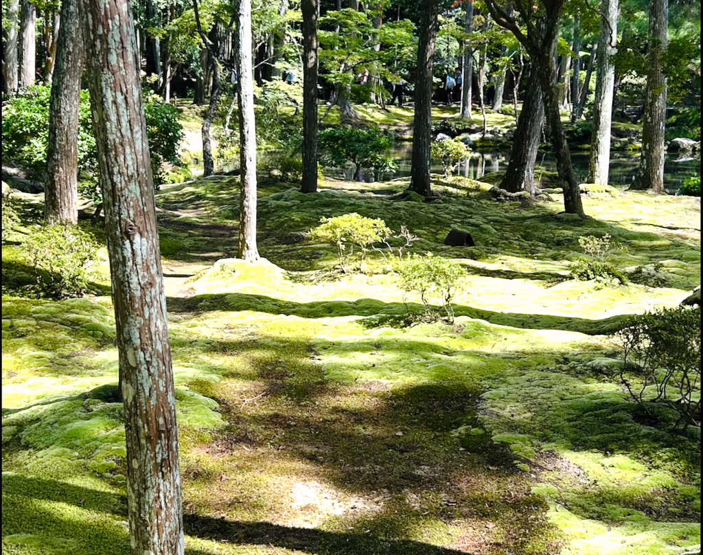 Kyoto Private Tour - Silver Temple