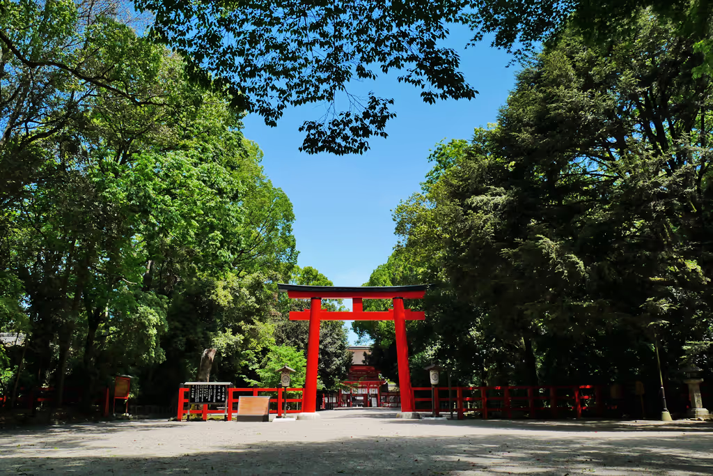 Kyoto Private Tour - Shimogamo shrines