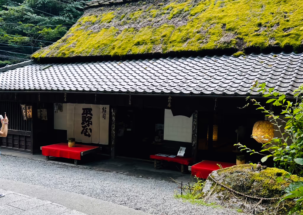 Kyoto Private Tour - Nearby Otagi Nembustuji