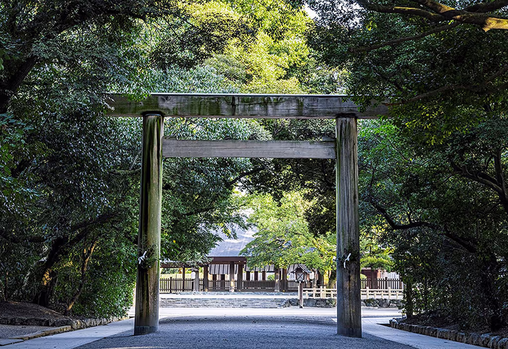 Nagoya Private Tour - 