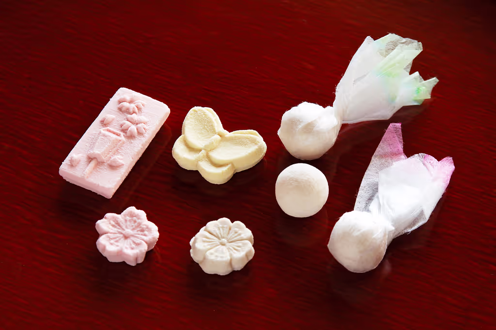 Kagawa Private Tour - Wasanbon sweets