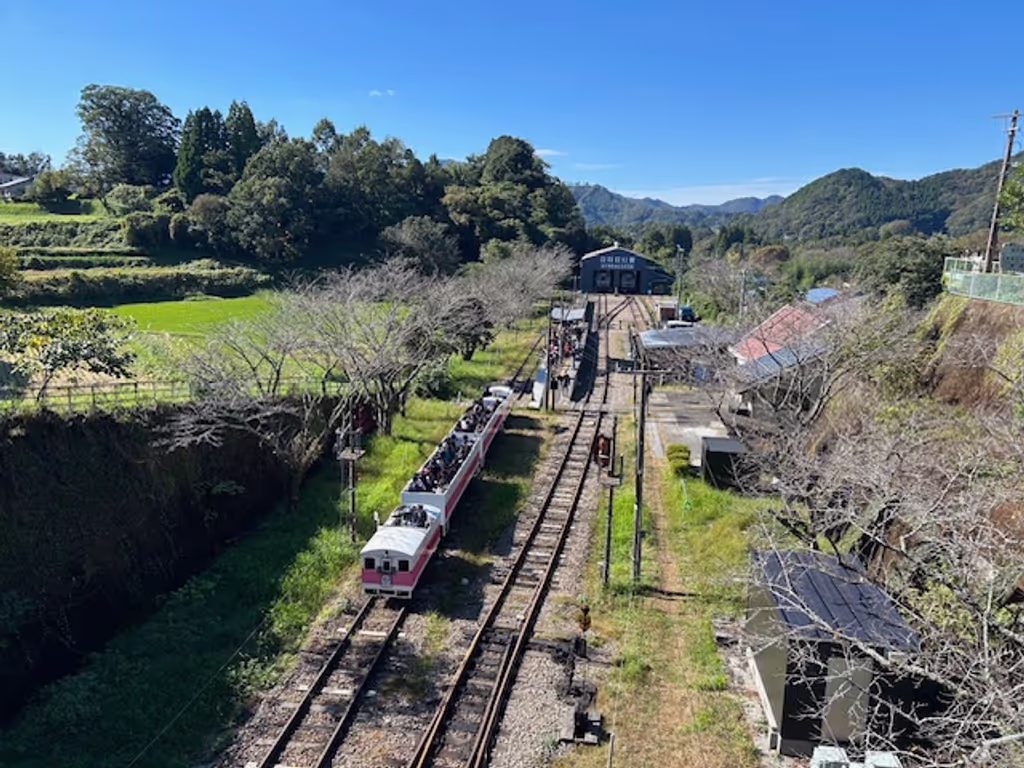 Miyazaki Private Tour - The open-air train
