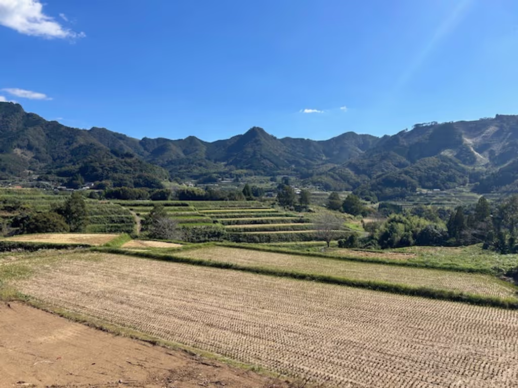 Miyazaki Private Tour - Rice terraces near Takachiho