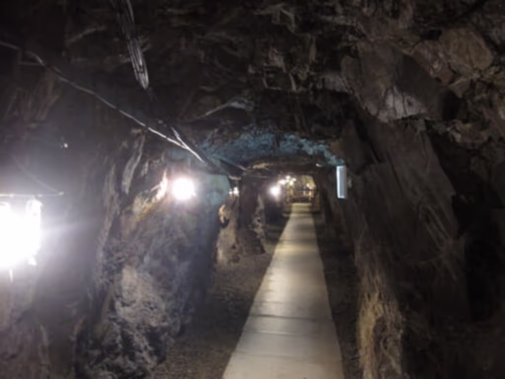 Yokohama Private Tour - Toi Gold Mine Tunnel Exploration
