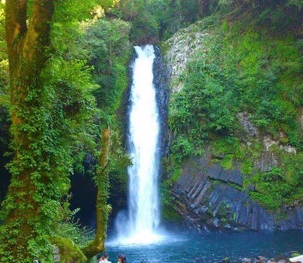 Yokohama Private Tour - Jōren Falls – One of Japan’s 100 Famous Waterfalls