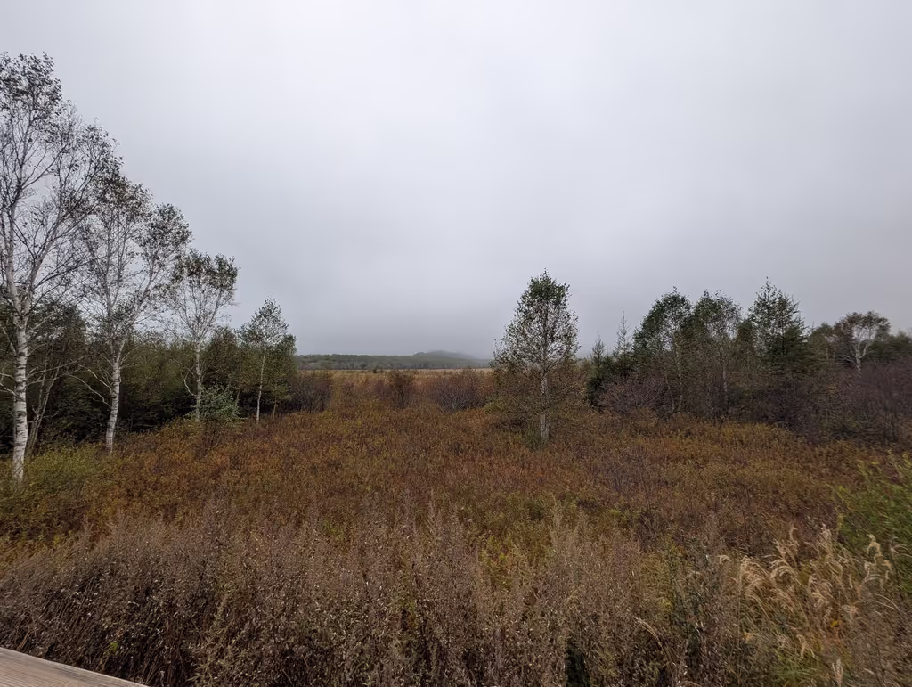 Ibaraki Private Tour - 