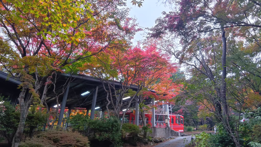 Ibaraki Private Tour - Cable car with autumn leaves