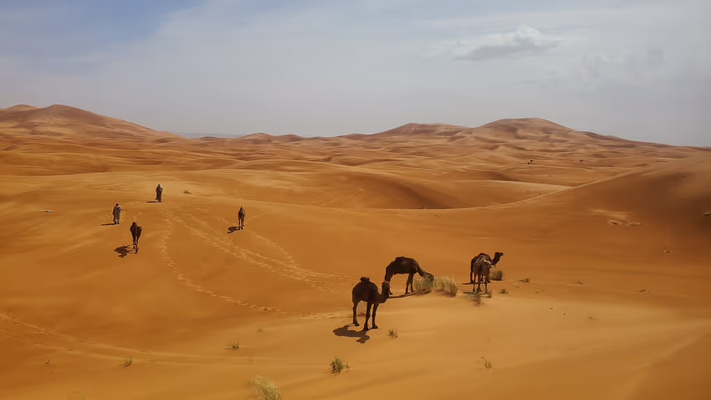 Merzouga Private Tour - 