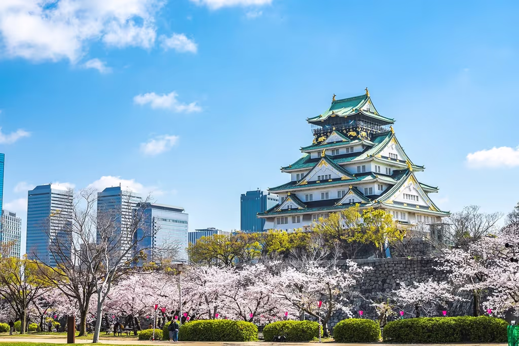 Osaka Private Tour - Osaka Castle