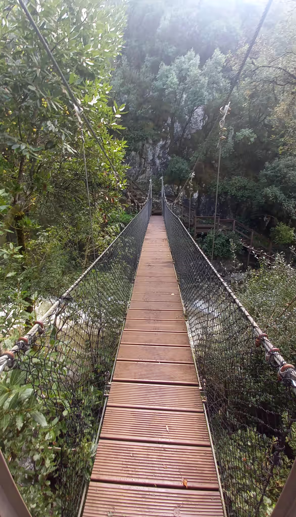 Coimbra Private Tour - Walking bridge next to the waterfall