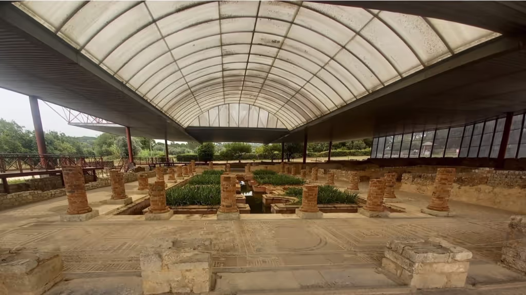 Coimbra Private Tour - Roman house of the fontain, in Conimbriga