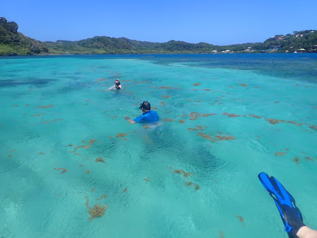 Roatan Private Tour - Snorkeling the inshore reef patches