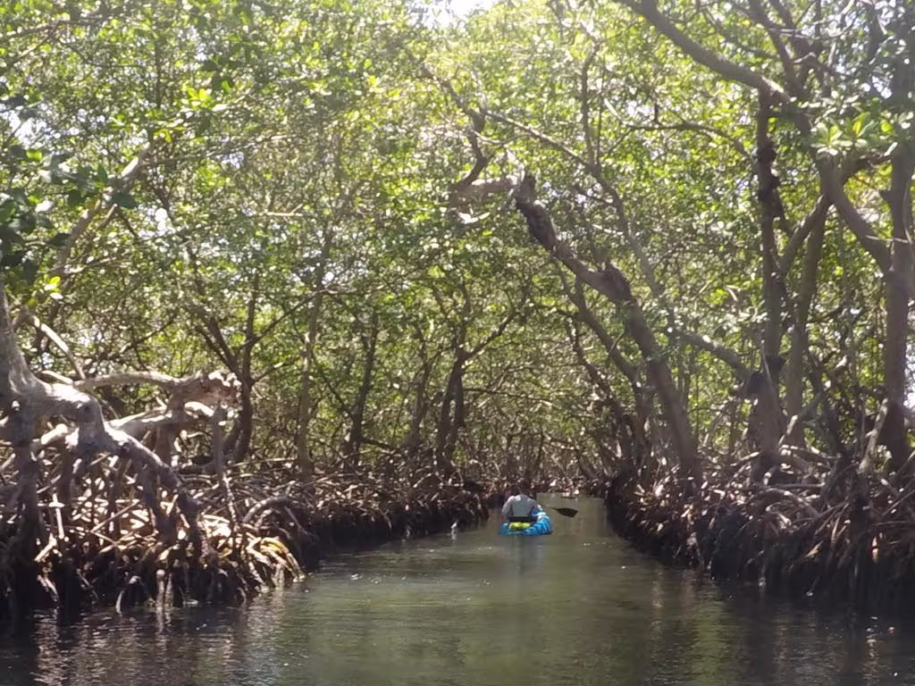 Roatan Private Tour - A kayaker paddling thru the tunnel