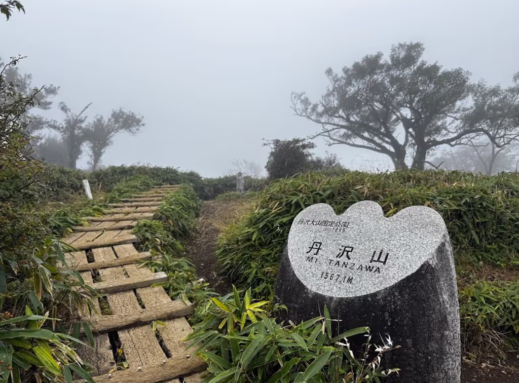 Tokyo Private Tour - 