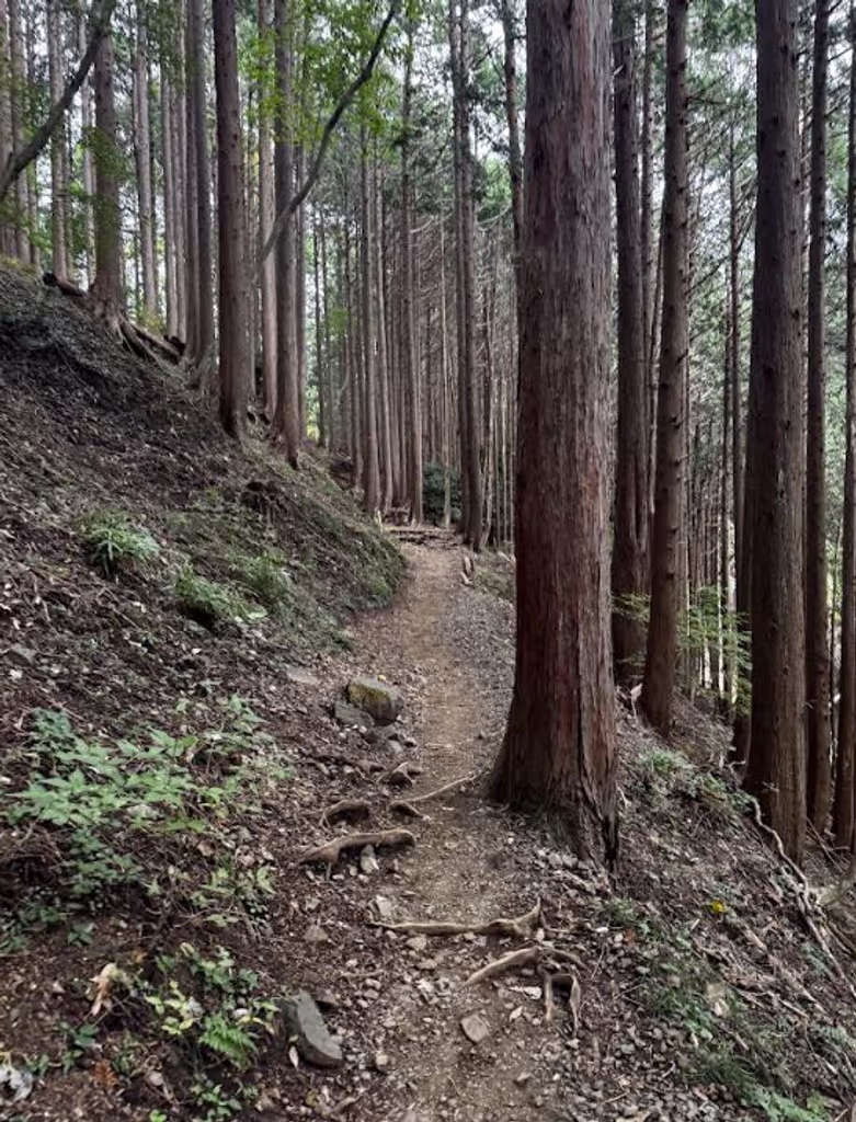 Tokyo Private Tour - 