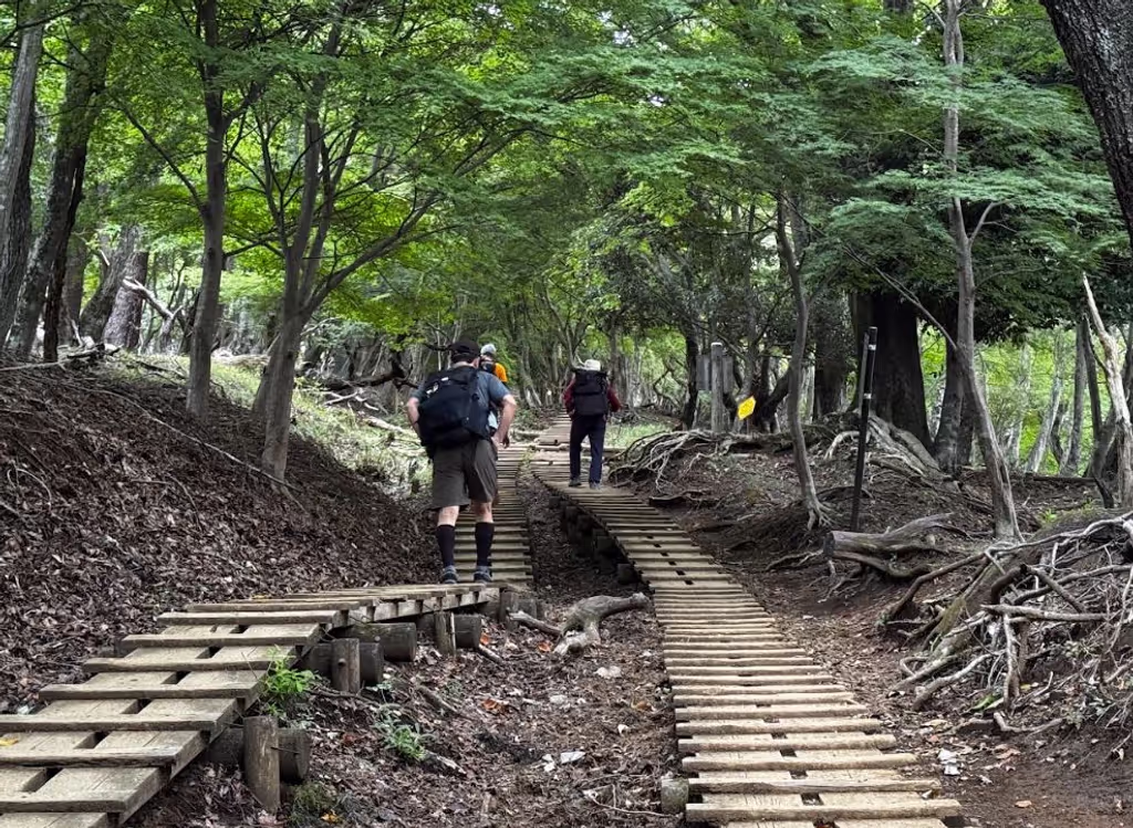 Tokyo Private Tour - 