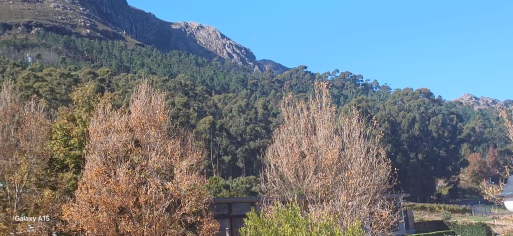 Cape Town Private Tour - Franshoek wine Valley