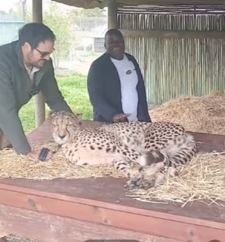 Cape Town Private Tour - 