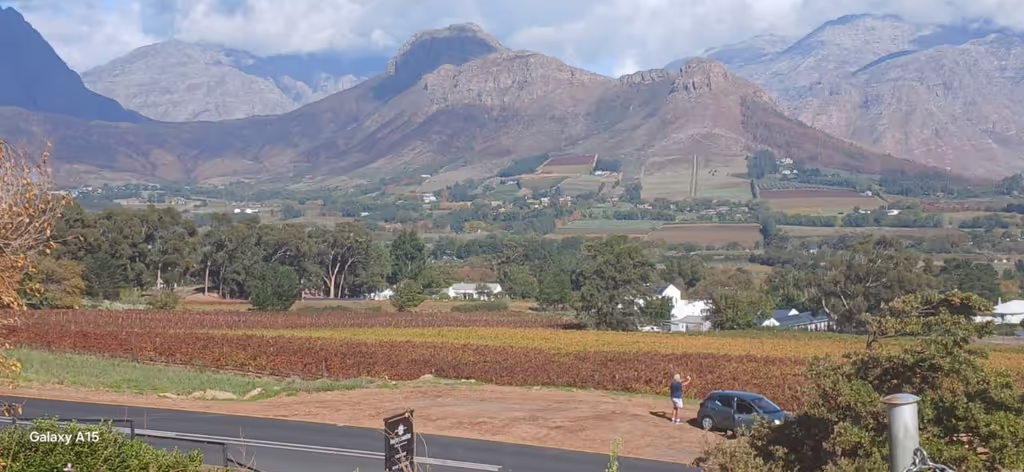 Cape Town Private Tour - Franshoek wine Valley
