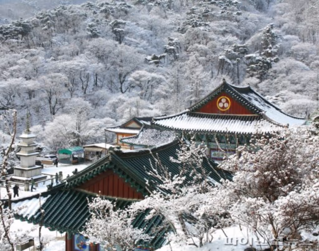 Seoul Private Tour - Yongmunsa  in winter