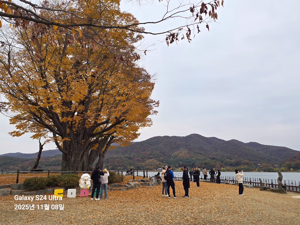 Seoul Private Tour - Dumulmeori in fall