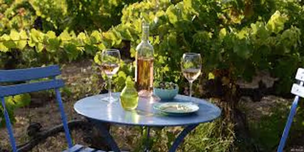 French Riviera Private Tour - 