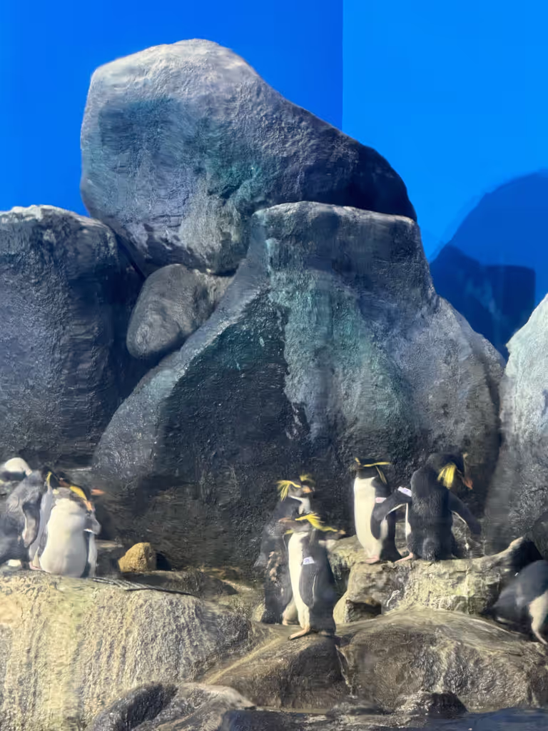 Manila Private Tour - Manila Ocean Park