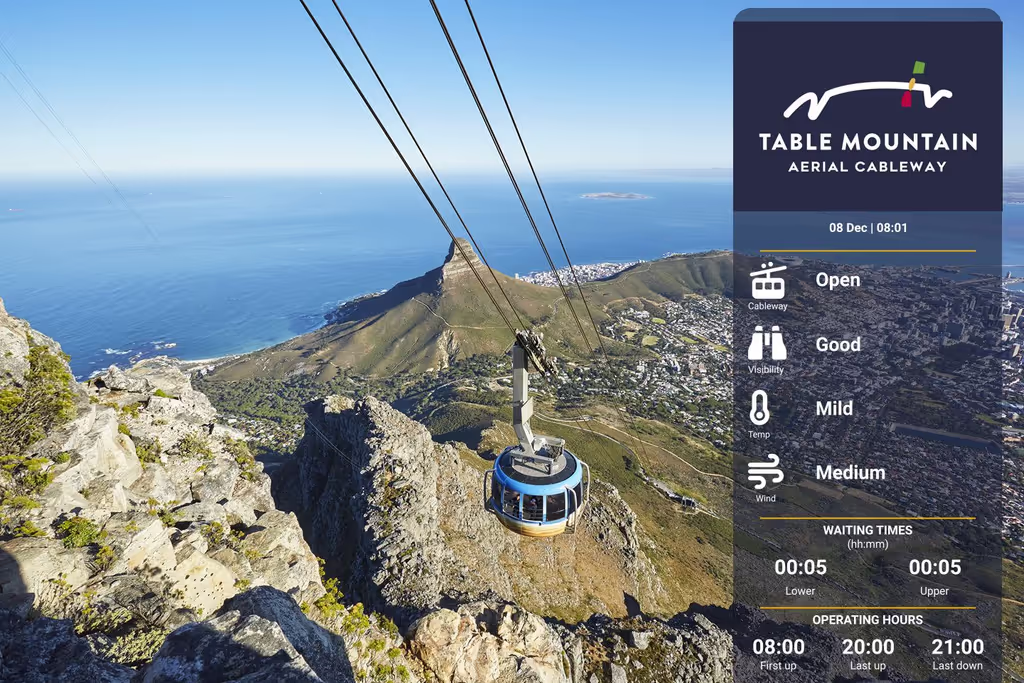 Cape Town Private Tour - 