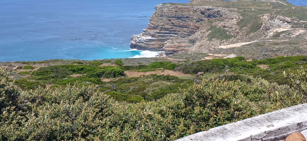 Cape Town Private Tour - 