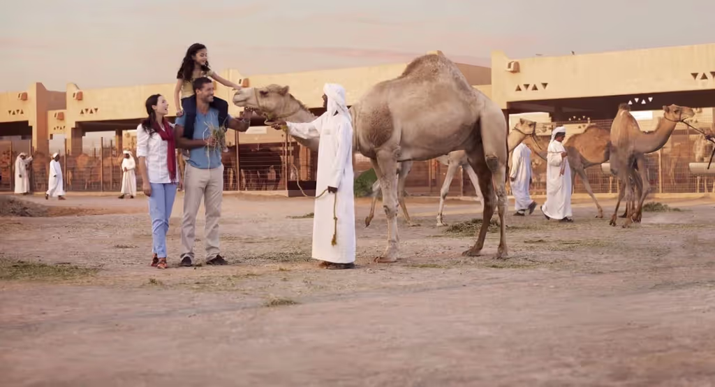 Al Ain Private Tour - camel market