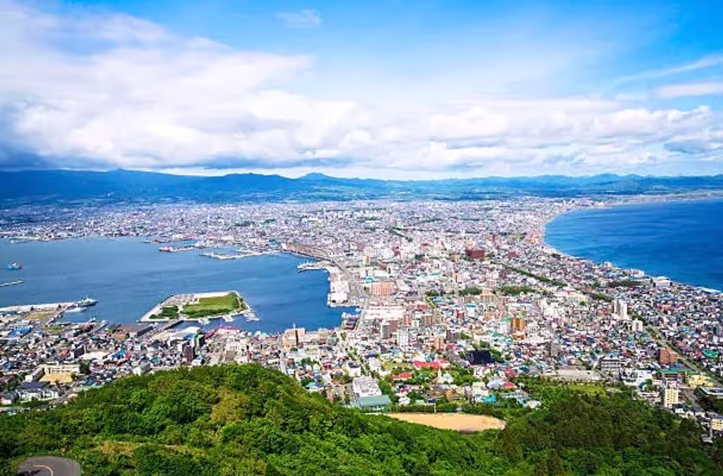 Hakodate Private Tour - View from Mount Hakodate