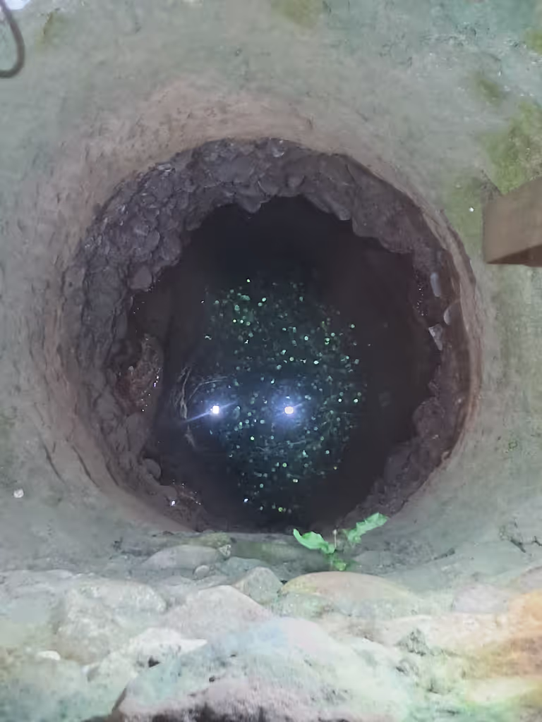 Tbilisi Private Tour - 